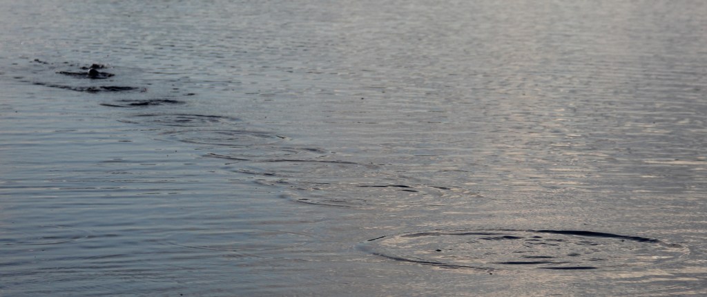“Sphere Of Influence” –&nbsp;Poetry