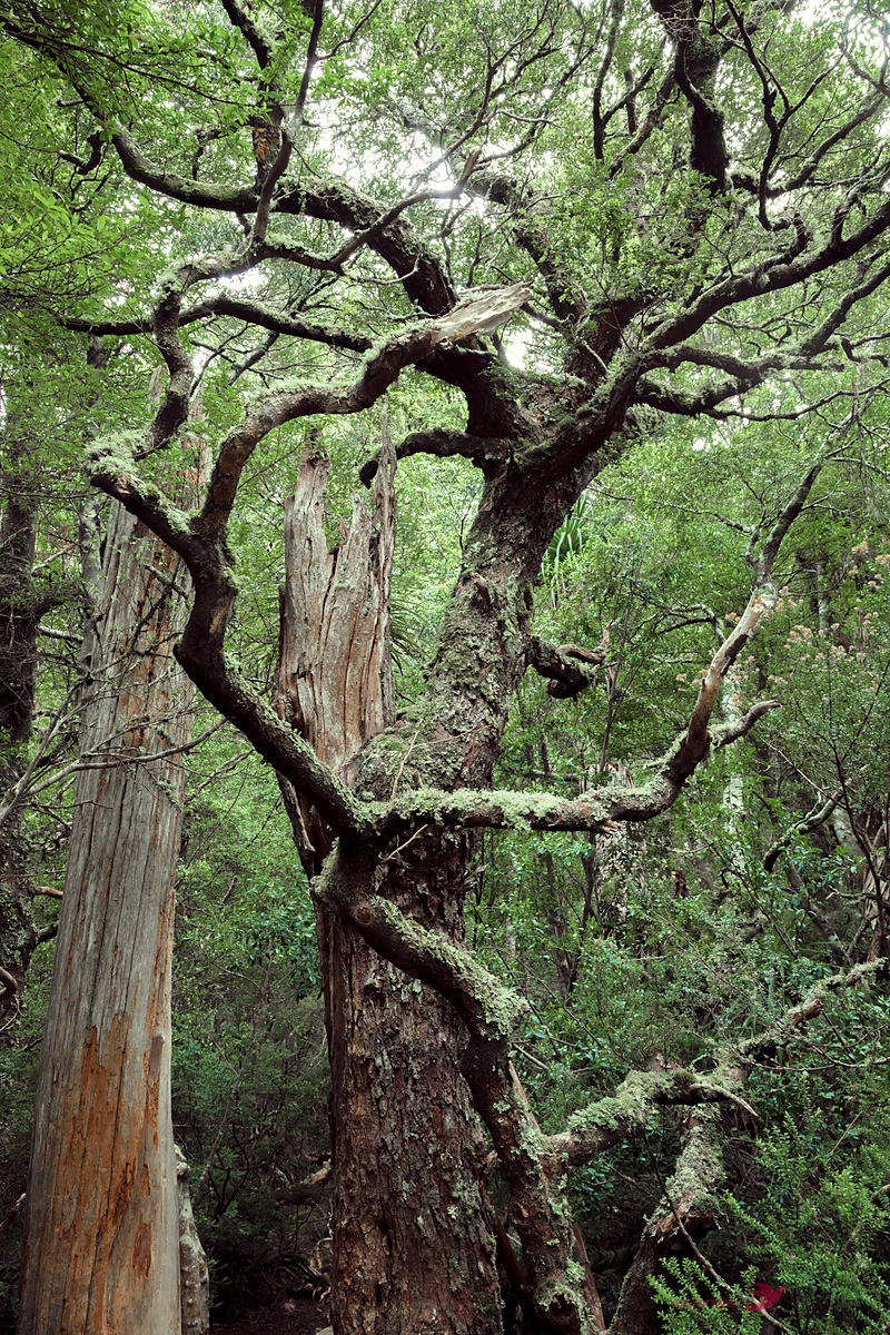 “The Leaving” –&nbsp;Poetry