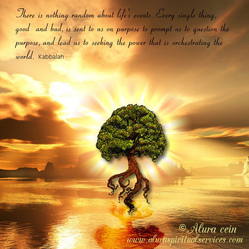 6d14c2b3903d1c898f10dbf01ae825c7