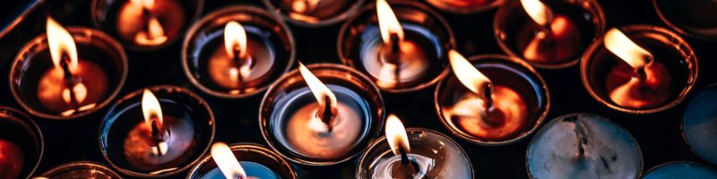 igor-ovsyannykov-223082-800x200